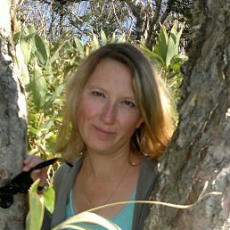 , 40 , -