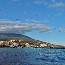  , , 60  -  10  2016     ,08.02.16.