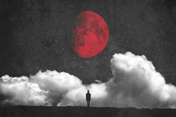 10 интеллектуальных бестселлеров, которые необходимо прочитать.1. Дж. М. Кутзее — В ожидании ...