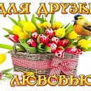 ���� ����, ��������, 68 ��� - ��������� 9 ������ 2015 � ������ ������ ��������