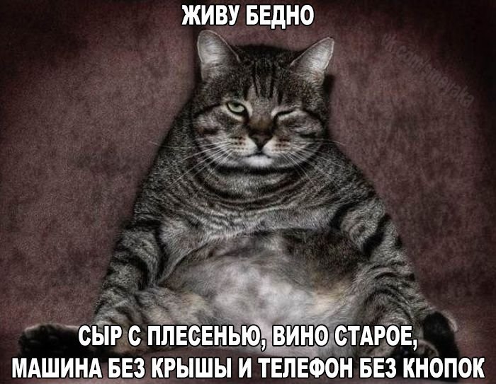    :D - 19  2016  01:35