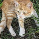 ���� ����� �, �����, 55 ��� - ��������� 14 ������� 2015 � ������ ���� ������