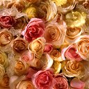 ���� ������, �����-��������� - ��������� 5 ������� 2016 � ������ ���� ����������