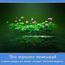  Wlad, , 51  -  1  2016    