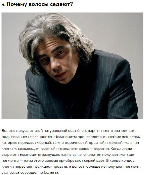 10 ответов на странные вопросы, которыми хоть раз задавался каждый.Вот 10 ответов на «почему», ... - 8