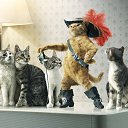 ���� ����, ����������� - ��������� 17 ������� 2015 � ������ ���� ����������