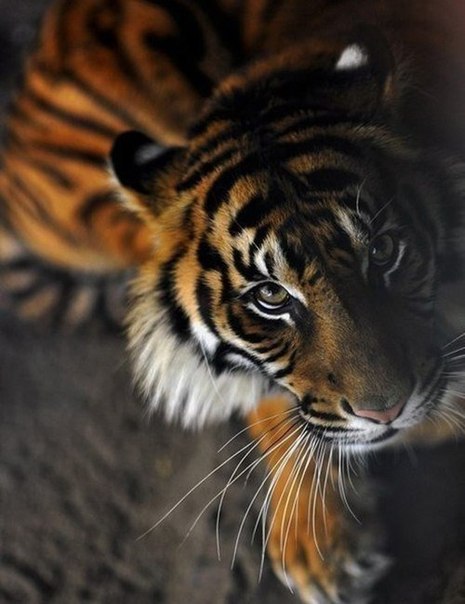   - 1  2015  03:03 - 3