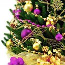 ���� C�����, ������������ - ��������� 23 ������� 2015 � ������ ������ ��������