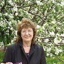 ���� ��������, ���������� - ��������� 28 ������� 2015 � ������ ���� ����������