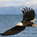 ���� ���, ������ - ��������� 26 ������� 2016 � ������ ������ ��������