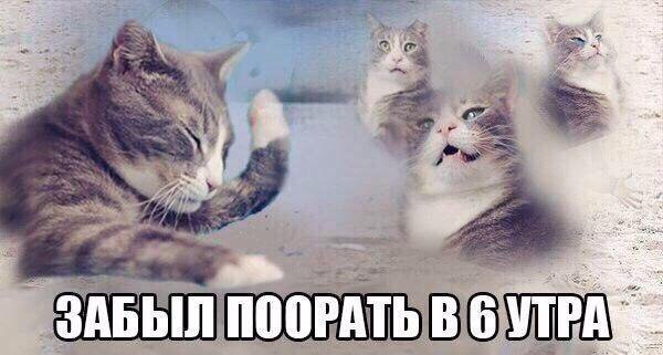    - 9  2016  08:17