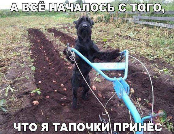   :D - 17  2015  12:17