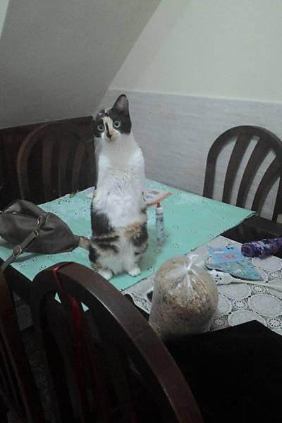  - ,        .   ,     ... - 3