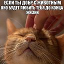 ���� ������, ������-��-���� - ��������� 28 ������ 2015 � ������ ���� ����������