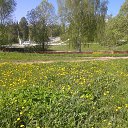 ���� �����, �������� - ��������� 25 ������ 2015 � ������ ����� ����� ������.�