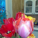 ���� Radogneva, �����, 37 ��� - ��������� 12 ������ 2016 � ������ ������