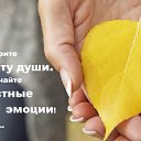 ���� �����, �����������, 67 ��� - ��������� 12 ������� 2015 � ������ ������ ��������