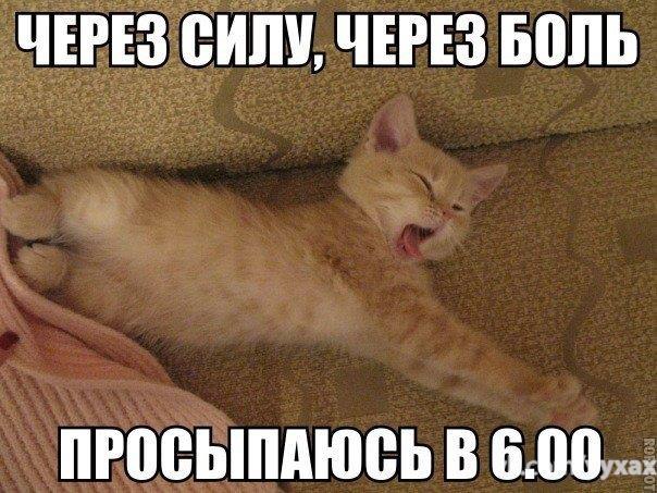 Возможно только в России - 20 октября 2015 в 10:20