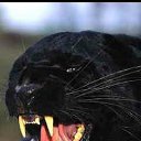 ���� ������, ������������, 32 ���� - ��������� 10 ������ 2016 � ������ �Xxx�