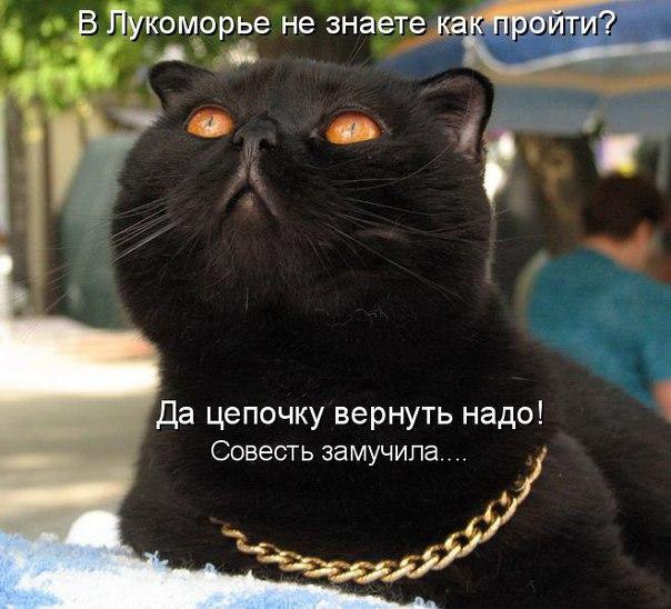    - 9  2016  02:15