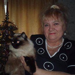 ���� ����, ������, 79 ��� - ��������� 25 ������ 2016