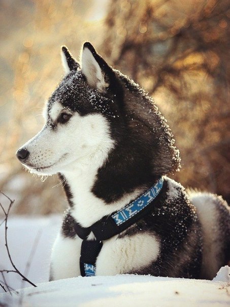 Art & Fun - 3  2015  19:15 - 5