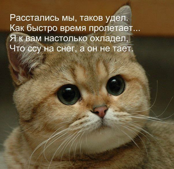   - 12  2016  04:02