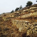  ,  -  17  2016   iOS Photos