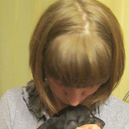 �������, ������������, 46 ���