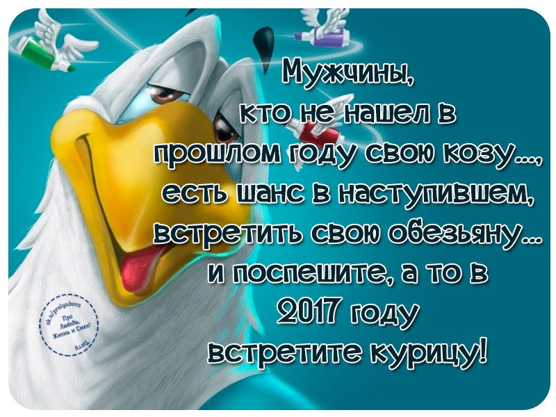 �������� - 7 ������ 2016 � 13:21