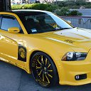 ���� Kok5555, ������, 39 ��� - ��������� 25 ������� 2016 � ������ ���� ����������