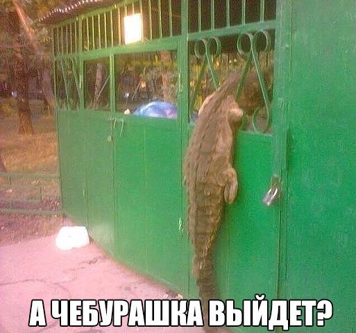    :D - 19  2015  14:33