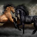 ���� ���������, �������� - ��������� 1 ������� 2016 � ������ ������ ��������