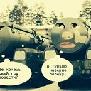  ******, , 53  -  5  2015    