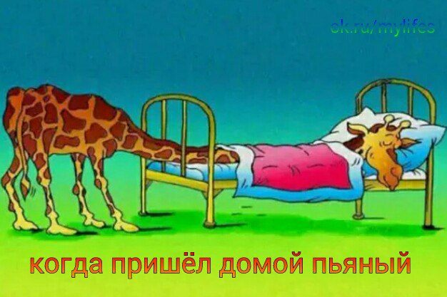    - 7  2016  06:04