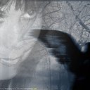 ���� �����, ����-���������, 45 ��� - ��������� 11 ������� 2016 � ������ ���� ����������