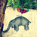 ���� Aleks, ����� ������� - ��������� 13 ������� 2015 � ������ �Elephants�