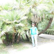 ������, 37 ���, ����������