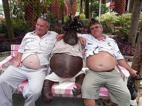 � �������, ��� ���������� ������� �� ������ )))))