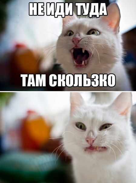   https://fotostrana.ru/away?to=/sl/NAD2