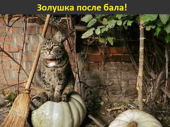 �������� �������� - 28 ������ 2015 � 23:53