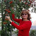 ���� ���������, �����-���������, 63 ���� - ��������� 30 ������� 2015