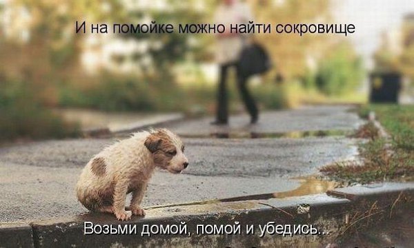   - 7  2015  12:35