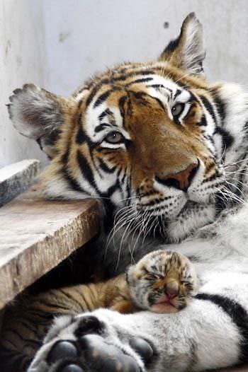   - 24  2016  21:36 - 5