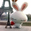 ���� �����, ������������ - ��������� 7 ������� 2015