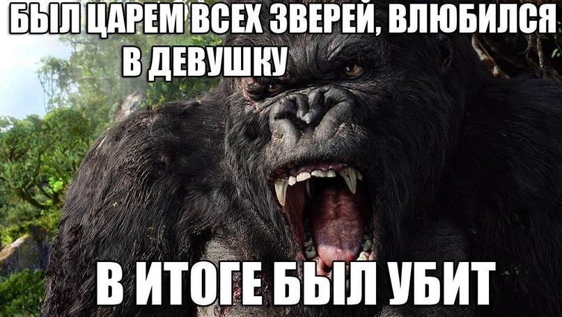      , ... - 8