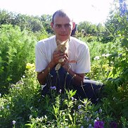 �����, 43 ����, ���������