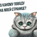 ���� �������, ��������� - ��������� 7 ������ 2015