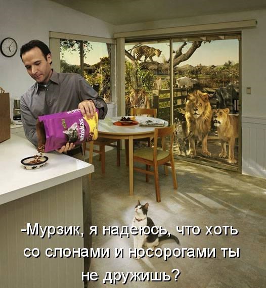       - 6  2015  23:02