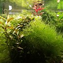 ���� ������, ������, 59 ��� - ��������� 21 ������� 2015 � ������ ���� ����������